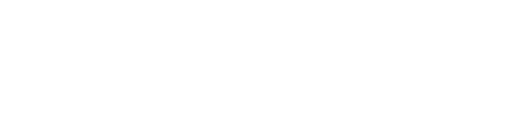Logo Lauguiconcept Océan Indien